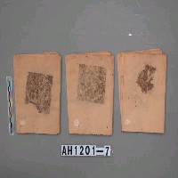 藏品(大廣銀)的圖片
